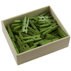 JAM Paper Wood Clothing Pin Clips, Medium, 1 1/8, Green, 3 Packs of 50, 150 Total (230729147g)-Wood Clothes Pins : Medium (Mini) Clips