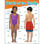 TREND enterprises, Inc. Parts of the Body Learning Chart, 17" x 22"-Size: 17" x 22"