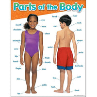 TREND enterprises, Inc. Parts of the Body Learning Chart, 17" x 22"-Size: 17" x 22"