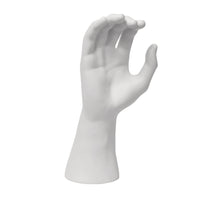 Eddie's Male Glove Display & Hand Form - White - 2 Pack (150390-2)-Male Glove Display & Hand Form