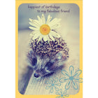 Aline Greetings Friend Birthday Card, Hedgehog with Daisy, happiest of birthday to my fabulous friend, 18 Pack-Premium uncoated paper stock