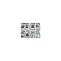 North Star Teacher Resources Bulletin Board Set, Civil Rights Pioneers, 8/Set (NST3078)-Dimensions: 11" x 17"
