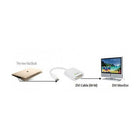 Techly USB 3.1 to DVI F Converter Cable, (IADAP USB31-DVI)-Supports resolutions up to 1080p