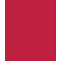 North American Paper Inc. Construction Paper - 12" x 18" - Scarlet - 48 Sheets-18" x 12" (Portrait)