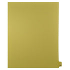 Mark Maker Legal Exhibit Index Tab Buff Single Tabs, 1/25th Cut, Letter Size, No Holes, Number 25, 25 Pack-Buff Single Tabs, 1/25th Cut