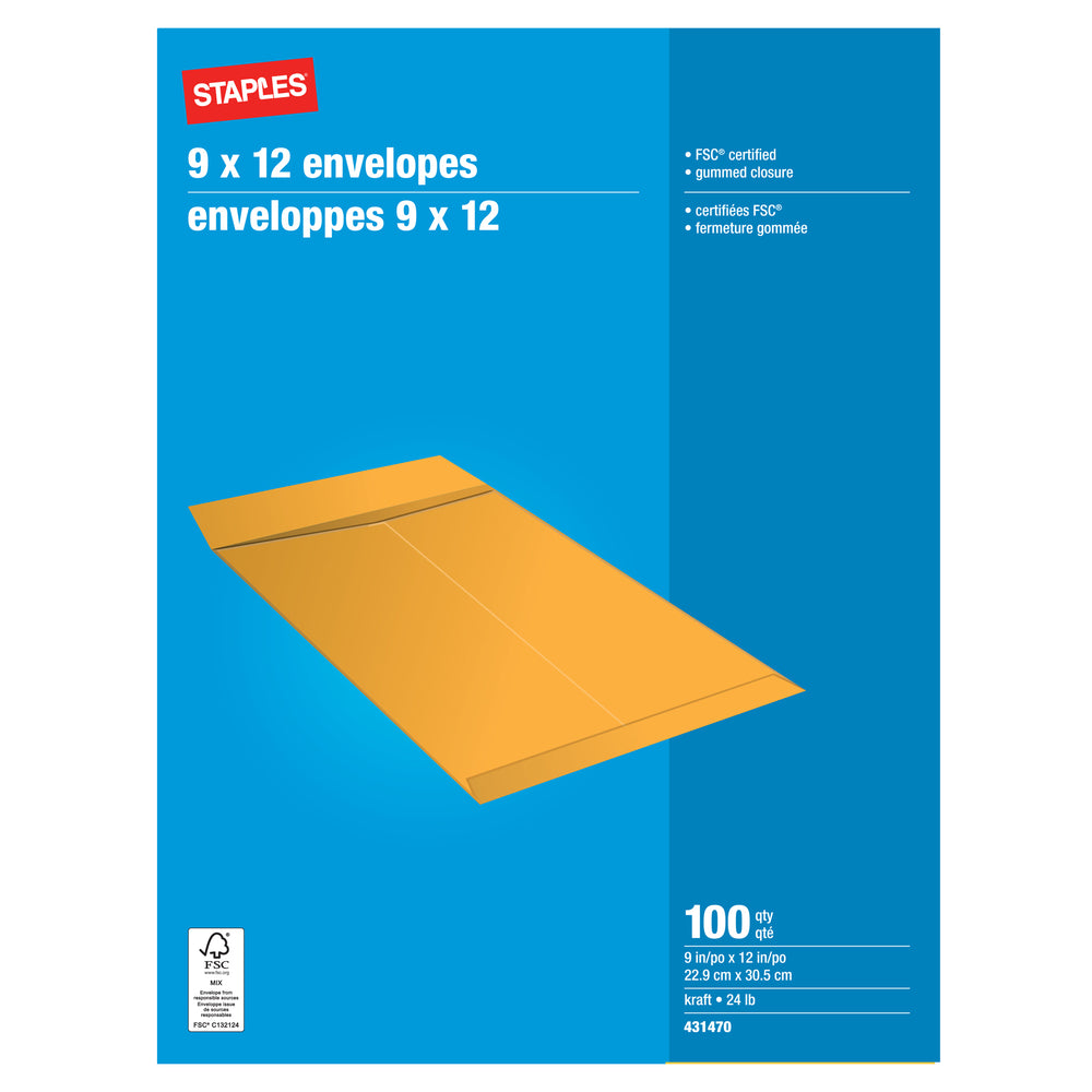 Staples Catalogue Envelopes with Gummed Flaps - 9