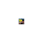 Brother P-Touch Removable Paper Tape - 2.44"(W) X 100'(L) - Black On Yellow-Yellow