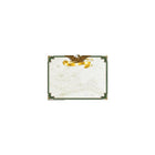 Hayes Border Paper 11" x 8.5", Beige/green, 90 Pack (H-VA653)-Set of 50 eagle border papers for printing award certificates or diplomas