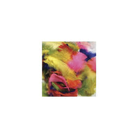 Chenille Kraft Bright Hues Feathers, 1950 Pack (CK-4502)-Type: Feathers