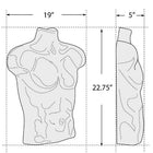 Azar Displays Male Bust For Pegboard/Slat Wall, 2 Pack-White