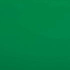 JAM Paper Gift Wrap - Glossy Wrapping Paper - 25 Sq Ft per Roll - Green - 2 Pack-The perfect square footage for quickly and easily wrapping your presents