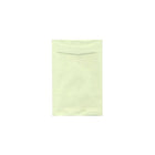 JAM Paper 6 x 9 Open End Catalogue Premium Envelopes - Light Green - 250 Pack-Open End