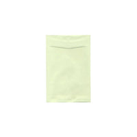 JAM Paper 6 x 9 Open End Catalogue Premium Envelopes - Light Green - 250 Pack-Open End