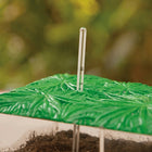 Educational Insights Now You See It, Now You Don't See-Through Compost Container-Size: 8"(H) x 12"(W) x 4"(D)