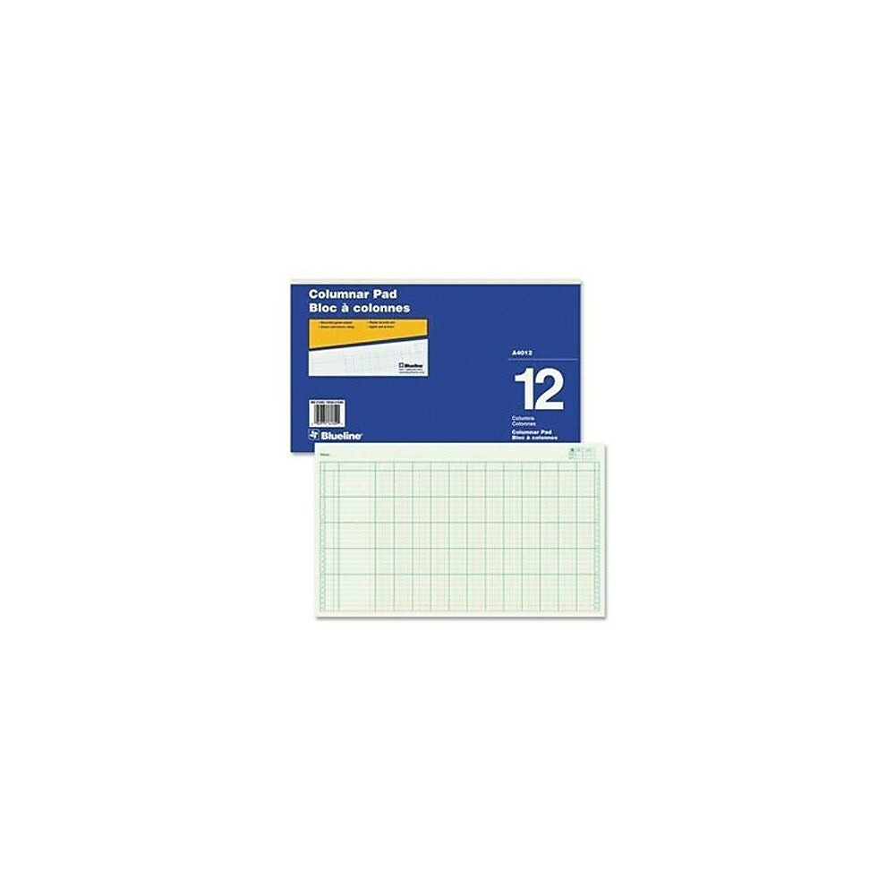 Blueline Columnar Pad, A4012, 12 Columns | staples.ca