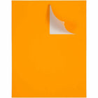 JAM Paper Large Shipping Address Labels - 3 1/3 x 4 - Neon Orange - 120 Pack -Colour: Neon Orange, Make your mail stand out with colourful shipping address labels