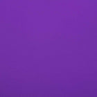 JAM Paper Gift Wrap - Glossy Wrapping Paper - 25 Sq Ft per Roll - Purple - 2 Pack-The perfect square footage for quickly and easily wrapping your presents