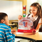 Learning Resources Pumping Heart Model-Type: Human body