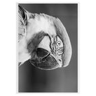 JAM Paper Cello Sleeves Envelopes with Self Adhesive Closure, 13 7/16" x 19 1/4", Clear, 100 Pack-Perfect for invitation, announcement, promotion and greeting