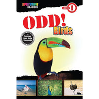 eBook: Spectrum 704324-EB Odd! Birds - Grade Preschool - 1-You will receive two emails: one confirming your entire order, and one with a "Download Software" buttonYou can download immediately or return to your email to download later