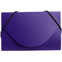 JAM Paper Plastic Business Card Case, Purple, 5 Pack (291618970g)-Purple