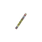 Musgrave Pencil Company - "100th Day of School" #2 Pencils - Paquet de 144-With metal ferrule and smooth eraser