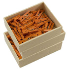 JAM Paper Wood Clothing Pin Clips, Small 7/8, Orange, 3 Packs of 50, 150 Total (230729133g)-Orange Miniature Clothespins