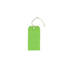 JAM Paper Gift Tags with String, Medium, 2.38 x 4.75, Green, 100 Pack (39197116B)-Green