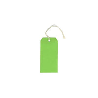 JAM Paper Gift Tags with String, Medium, 2.38 x 4.75, Green, 100 Pack (39197116B)-Green
