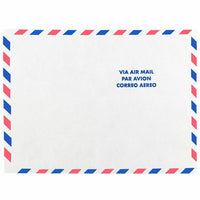 JAM Paper Tyvek Tear-Proof Open End Catalog Envelopes - 9" x 12" - White Airmail - 10 Pack -Durable Tyvek White Airmail Envelopes