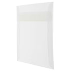 JAM Paper 9.5 x 9.5 Square Envelopes, Clear Translucent Vellum, 250 Pack (2851357H)-Blank interior for personalized message