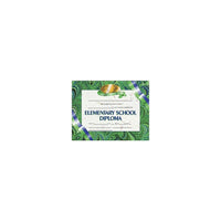 Hayes Elementary School Diploma Certificate, 8.5" X 11", 120 Pack (H-VA522)-Size: 8.5"(L) x 11"(W)