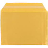 JAM Paper Cello Sleeves, A2, 4.25 x 5 11/16, Gold, 100 Pack (45SGD1)-Weight: 0.3 lbs