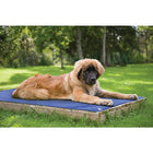 TechNiche Hyperkewl Evaporative Cooling Dog Pad Blue, Large (8511 RB L)-Can be used inside or outside