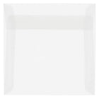 JAM Paper 6 x 6 Square Envelopes, Clear Translucent Vellum, 250 Pack (GTGN515H)-Clear translucent envelope