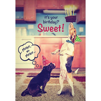 Millbrook Studios 5-3/8" x 7-3/4" It's Your Birthday? Sweet! Greeting Cards and Envelopes, 18 Pack (06147)-Printed on uncoated card stock