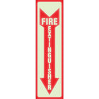 Headline Sign Glow-in-the-Dark FIRE EXTINGUISHER Sign - 4" W x 13" H-Made of durable styrene
