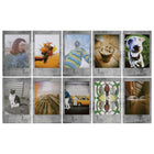 Fujifilm Instax Instant Mini Stone Gray Film Pack - 10 Exposures-Compatible with all FUJIFILM INSTAX MINI cameras and printers