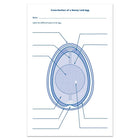 Learning Resources Chick Life Cycle Exploration Set-Features realistic illustrations of a developing chick in eggs 1 - 20, plastic 3D chick inside the final egg