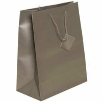 JAM Paper Gift Bags with Rope Handles - Large - 10" x 13" x 5" - Silver Matte - 100 Pack-Color: Silver Matte