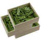 JAM Paper Wood Clothing Pin Clips, Medium, 1 1/8, Green, 3 Packs of 50, 150 Total (230729147g)-Green Miniature Clothespins