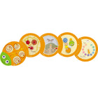 Beleduc Wall Toy Caterpillar "Turning Around Labyrinth"-High quality
