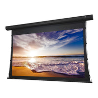 Elunevision 135" 16:9 Tab In-Ceiling Acoustic Motorized Reference 4K Screen-Electric projection screen