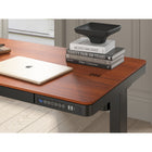 Koble Juno 47.2"W Height Adjustable Smart Desk with Drawer - Walnut-Rise & fall legs Single motor (2 stages)