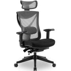 MotionGrey AirGlide Mesh Series Office Chair- Executive Ergonomic Computer Desk Mesh Back - Black-Ergonomic back support