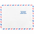 JAM Paper 10" x 13" Tyvek Tear-Proof Open End Catalog Envelopes - White Airmail - 10 Pack-Durable Tyvek White Airmail Envelopes
