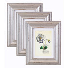 kieragrace KG Jean Photo Frame - 5" x 7", Distressed Metal Effect Wood, 3 Pack-Bevelled distressed metal effect wood photo frame, 5x7”, set of 3