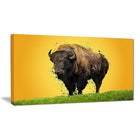 Designart Lone Bison Canvas Art Print, 5 Panels, (PT2326-32-16)-Print