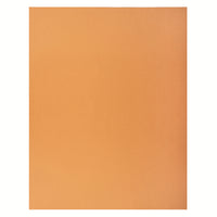 North American Paper 2 Ply Bristol - 22" x 28" - Orange - 48 Sheets-22" x 28"