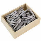 JAM Paper Wood Clothing Pin Clips, Small 7/8, Silver, 2 Packs of 50, 100 Total (230726887a)-.875in